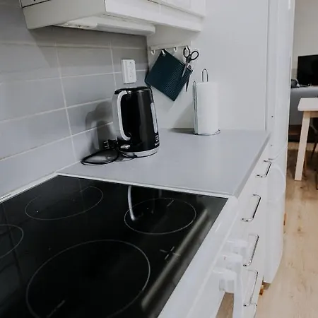 Apartment Apartment, Sleepwell, Tyynimeri With Private Parking And Optional Private Sauna