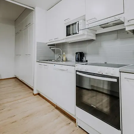 Apartment, Sleepwell, Tyynimeri With Private Parking And Optional Private Sauna